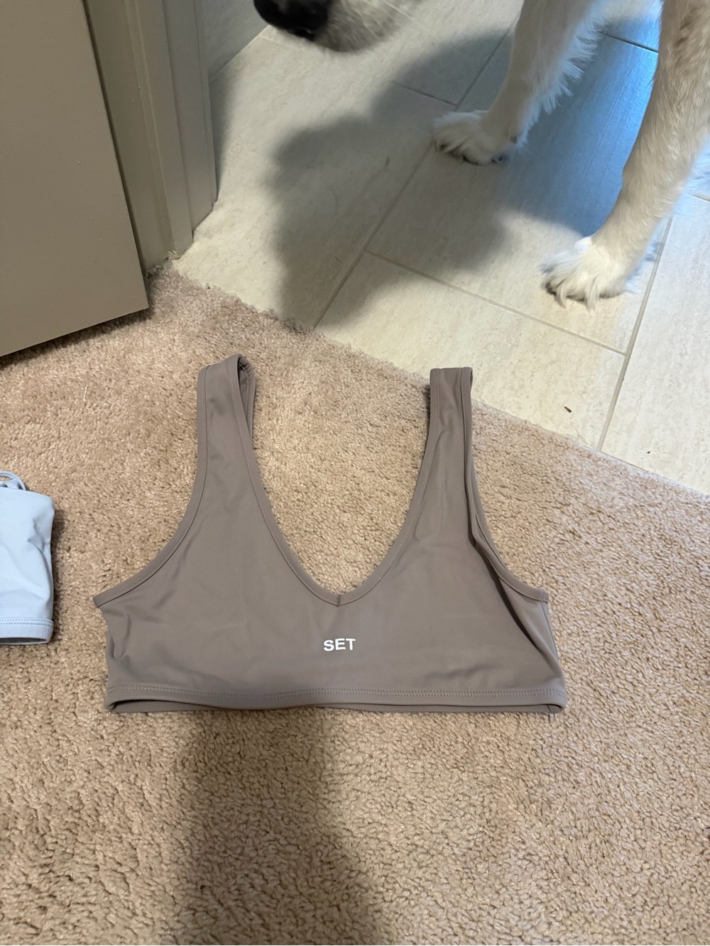 SET Taupe Sports Bra